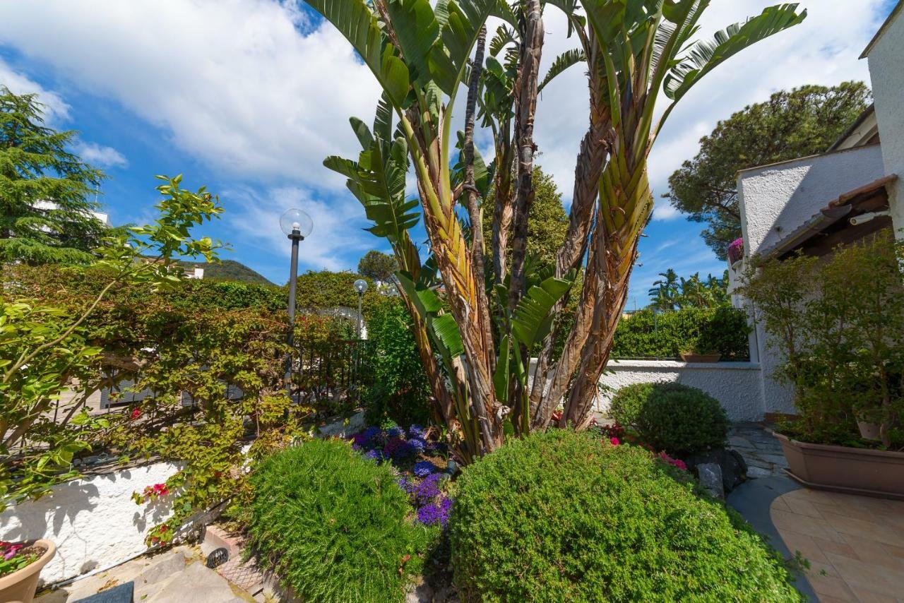 Villa Fortuna Holiday Resort Ischia Eksteriør billede