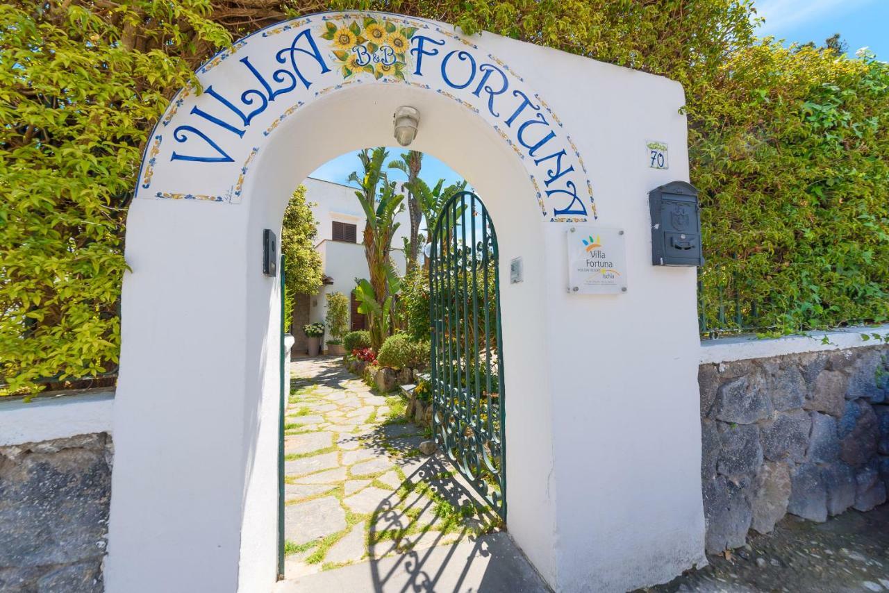 Villa Fortuna Holiday Resort Ischia Eksteriør billede